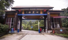 重庆一高学生爆料新闻,揭秘校园内幕事件